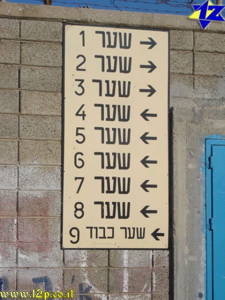 צולם על ידי השחקן ה-12 - כל הזכויות שמורות