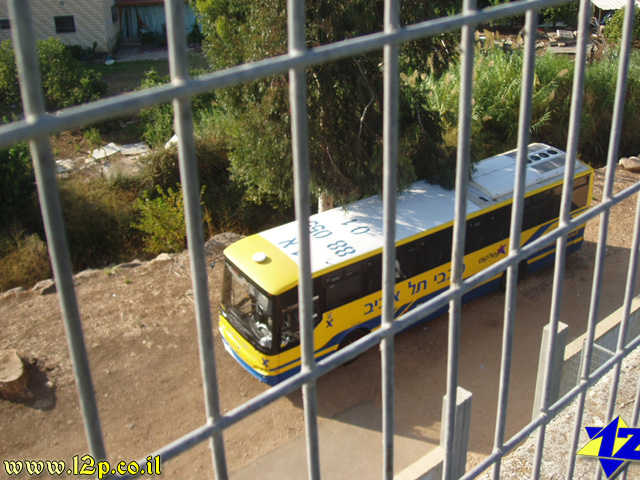 צולם על ידי השחקן ה-12 - כל הזכויות שמורות
