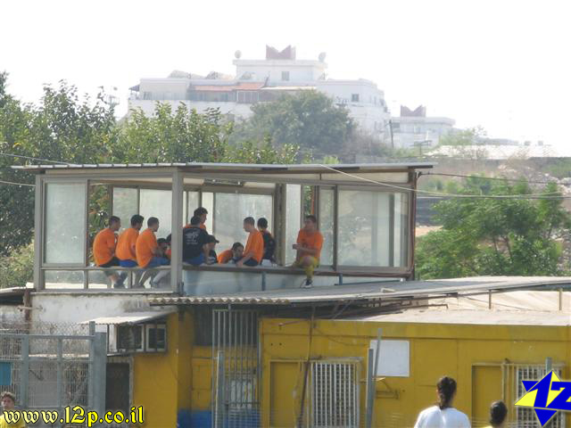 צולם על ידי השחקן ה-12 - כל הזכויות שמורות